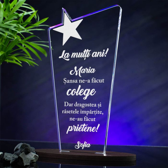 Trofeu Prietenie, Colege si prietene, Cadou personalizat Cupa