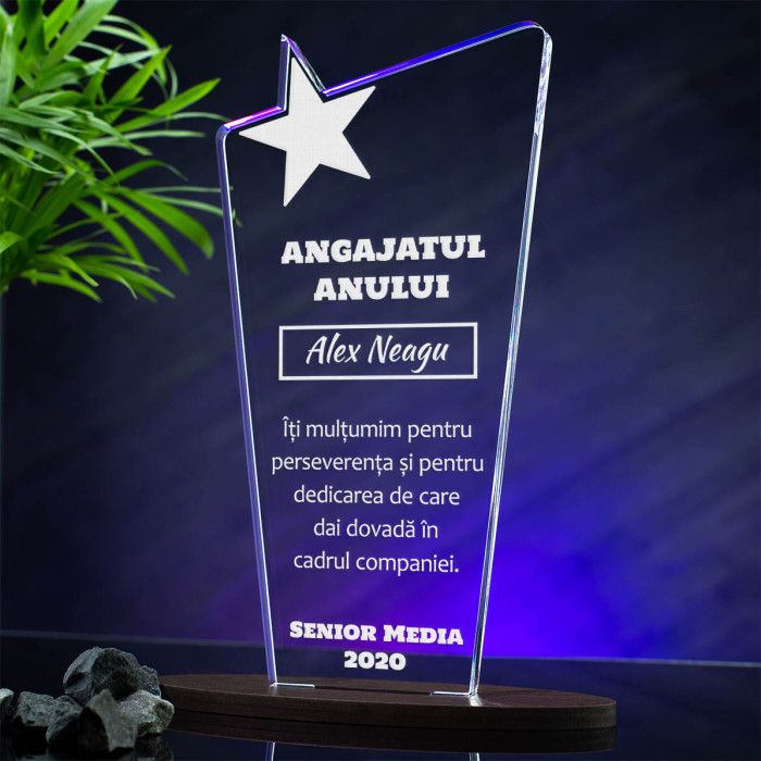 Trofeu Angajat, Dedicare si perseverenta, Cadou personalizat Cupa