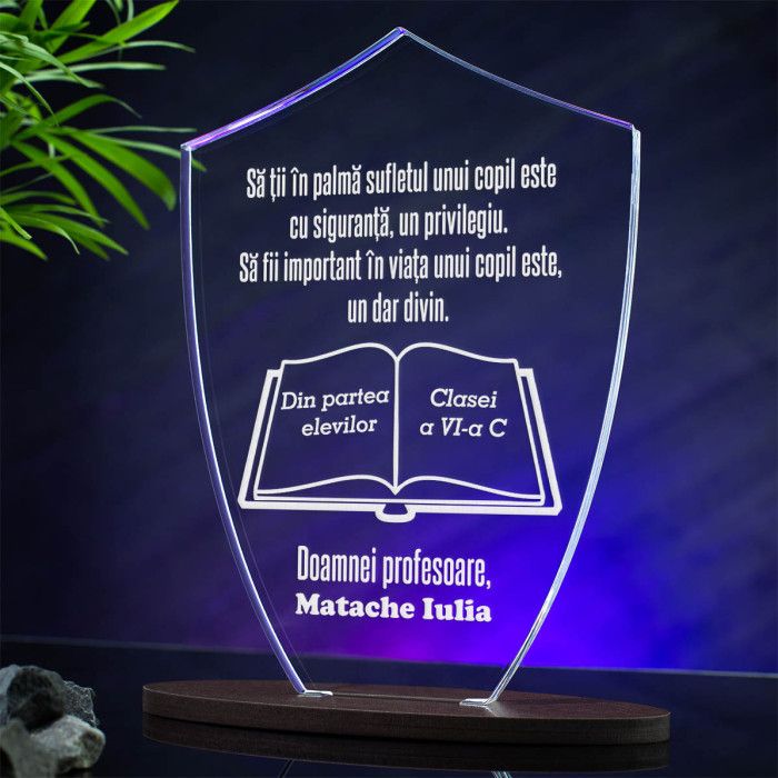 Trofeu Profesor si elevi, Dar divin, Cadou personalizat Scut