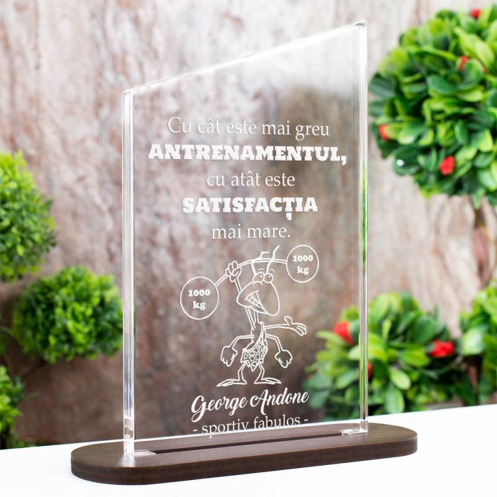 Trofeu Antrenori, Motivatia unui antrenor, Cadou personalizat Ascend