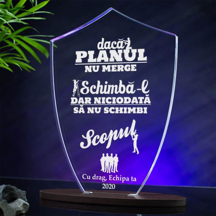 Trofeu Sefi, Schimba planul, dar nu scopul, Cadou personalizat Scut
