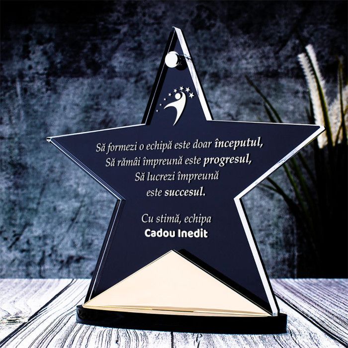 Trofeu Corporate, Echipa de succes, Cadou personalizat Orion
