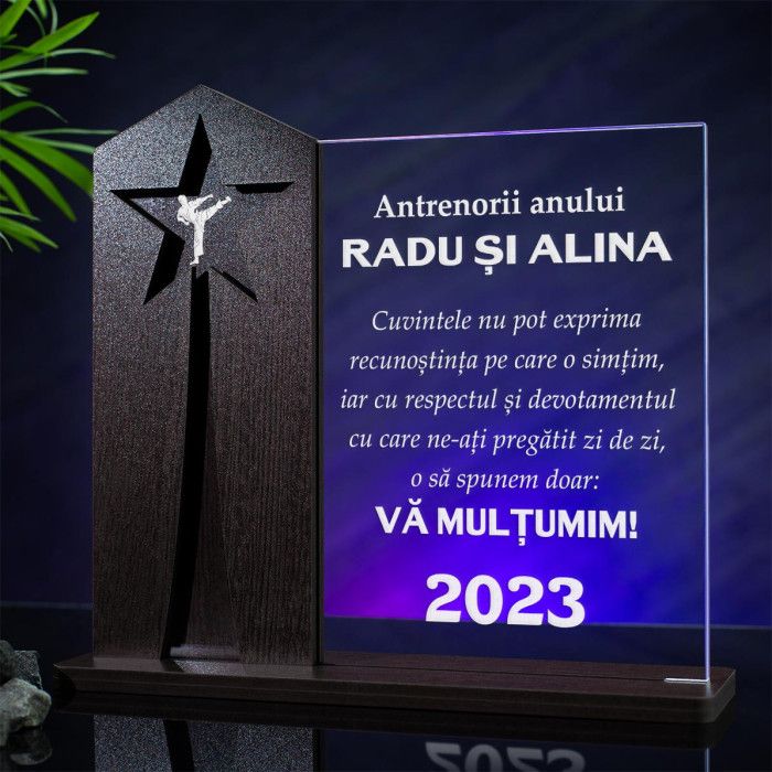 Trofeu Antrenori, Karate, Cadou personalizat Astru